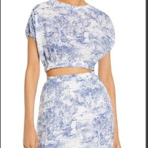 LUCY PARIS Toile Print Cropped Top and Maxi Skirt Set